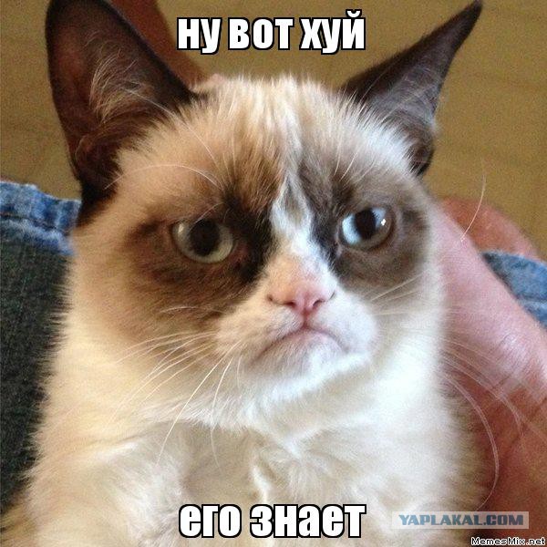 Шустрик: До и После