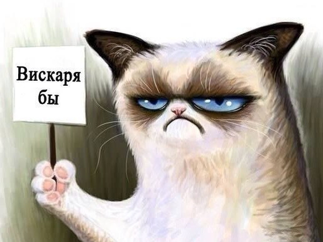 Очень грустная кошка по кличке Луху