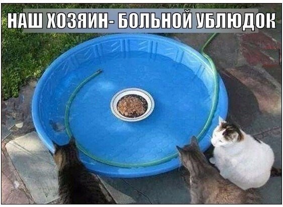 Вторник-повторник