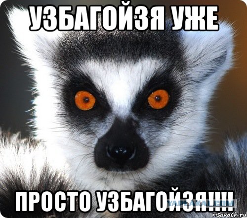 Федеральная таможенная служба РФ определилась