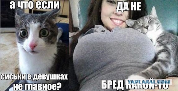 10 любопытных фактов о женской груди