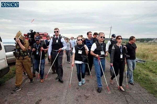 Звонок ОБСЕ  в редакцию