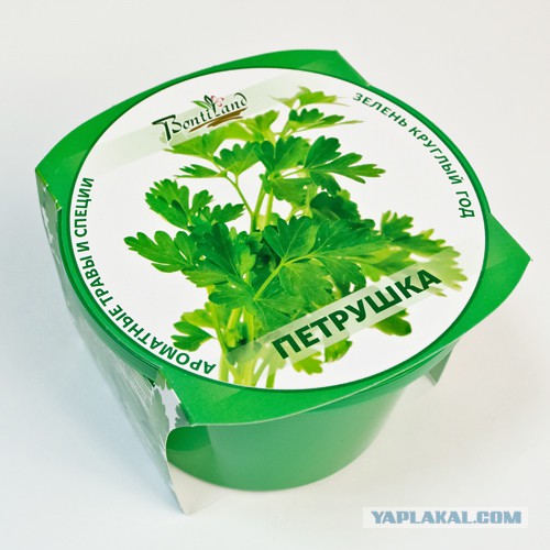 Она и канат