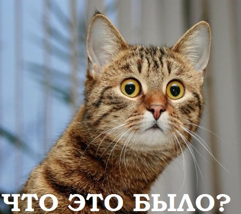 Сказал как бог