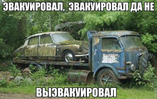 Подборка красивых и веселых картинок