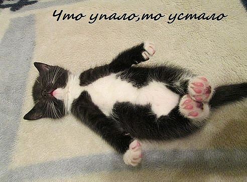 Интересные и смешные картинки!