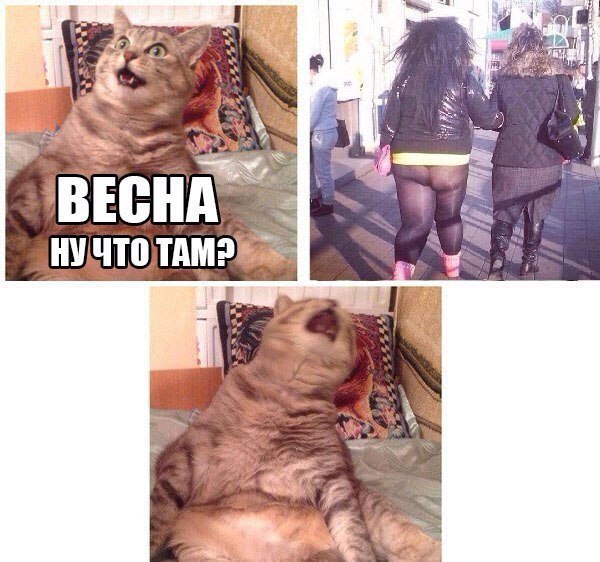 Картинки разные