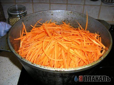 ПЛОВ