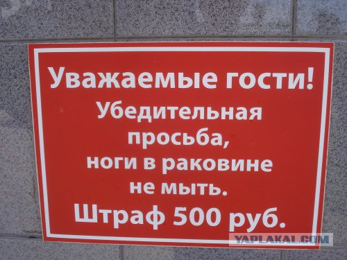 Пучок разных фотографий с телефона.