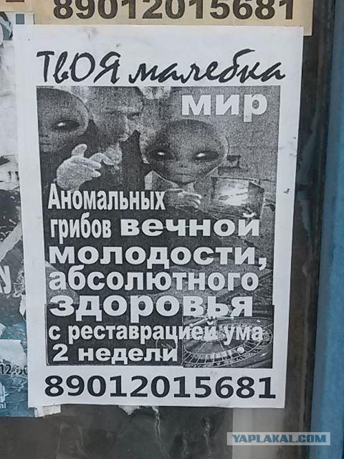 Забавные объявления