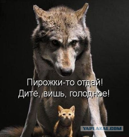 Тайны Красной Шапочки.