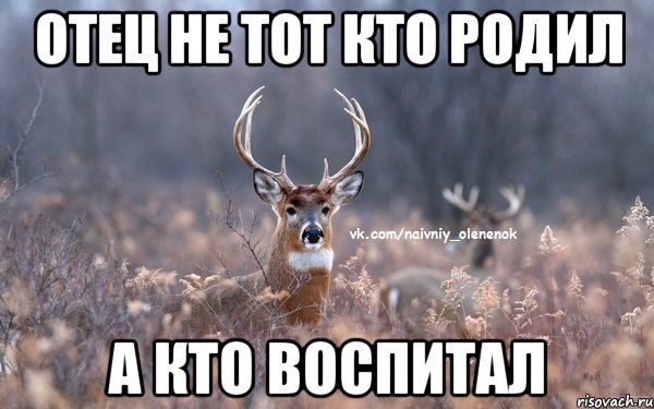 Не святая Диана
