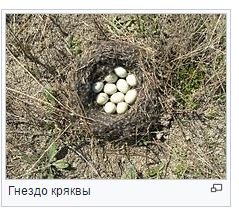20 обалденных фотографий, в которые трудно поверить