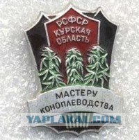 Штраф 40 000 рублей - за кулон в виде конопли.