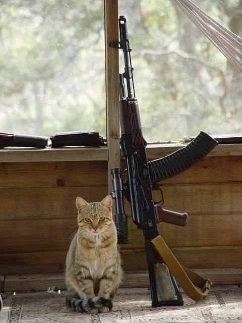 Живность из сети
