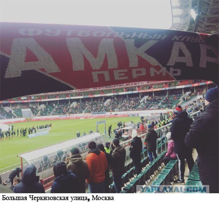 Беседка ФиС ЯПа 5