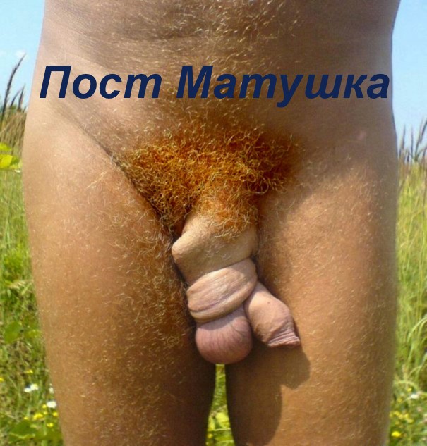 Итоги проверки пользователей