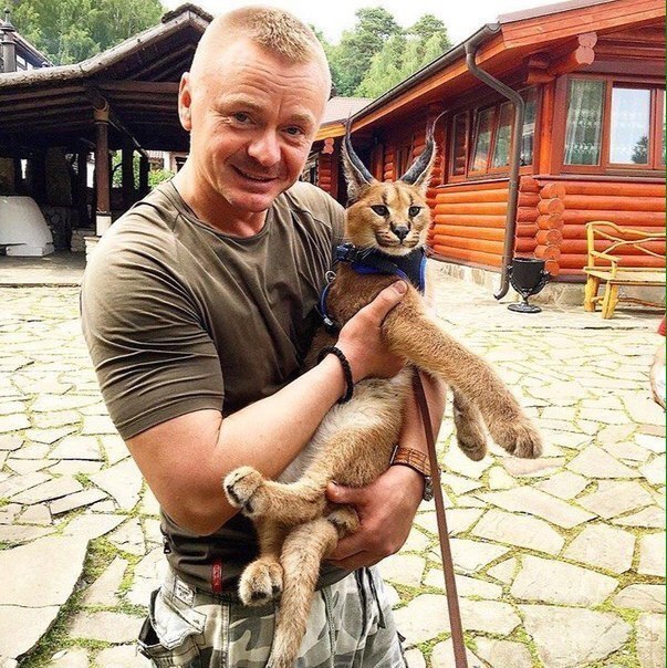 Живность из сети