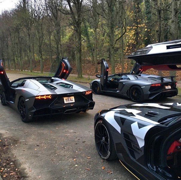 Подборка интересных и веселых картинок