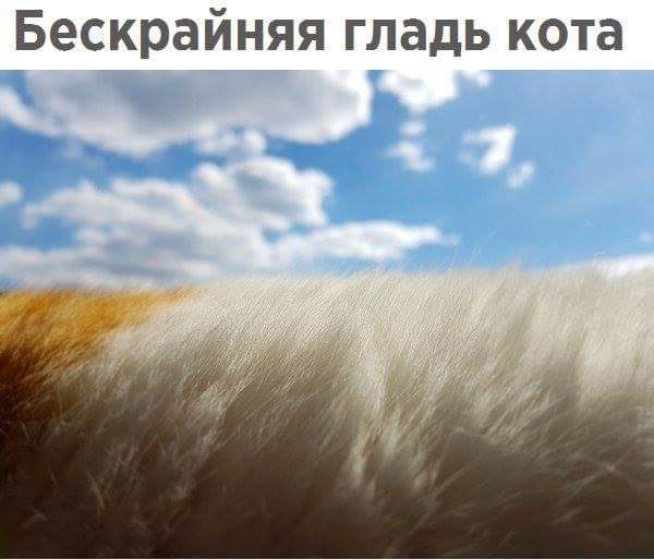 Подборка интересных и веселых картинок