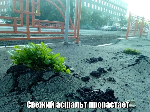 Нестандартный юмор