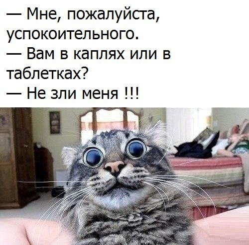 Немного картинок для настроения