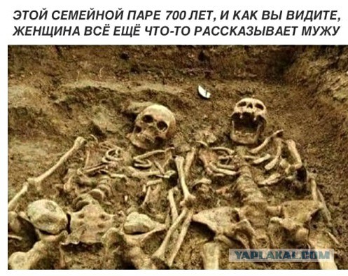Анекдоты, истории и картинки с надписями