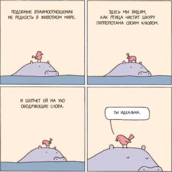 Сто и одна картинка в этот четверг