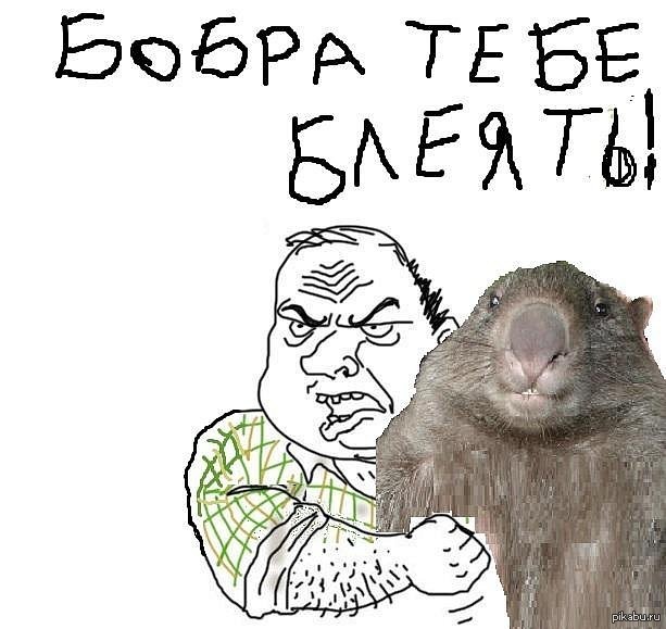 Зачем бабам мужики? Вопрос, на который нет ответа