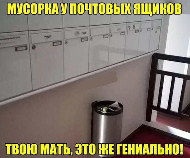 Чуток картинок 14.10.19