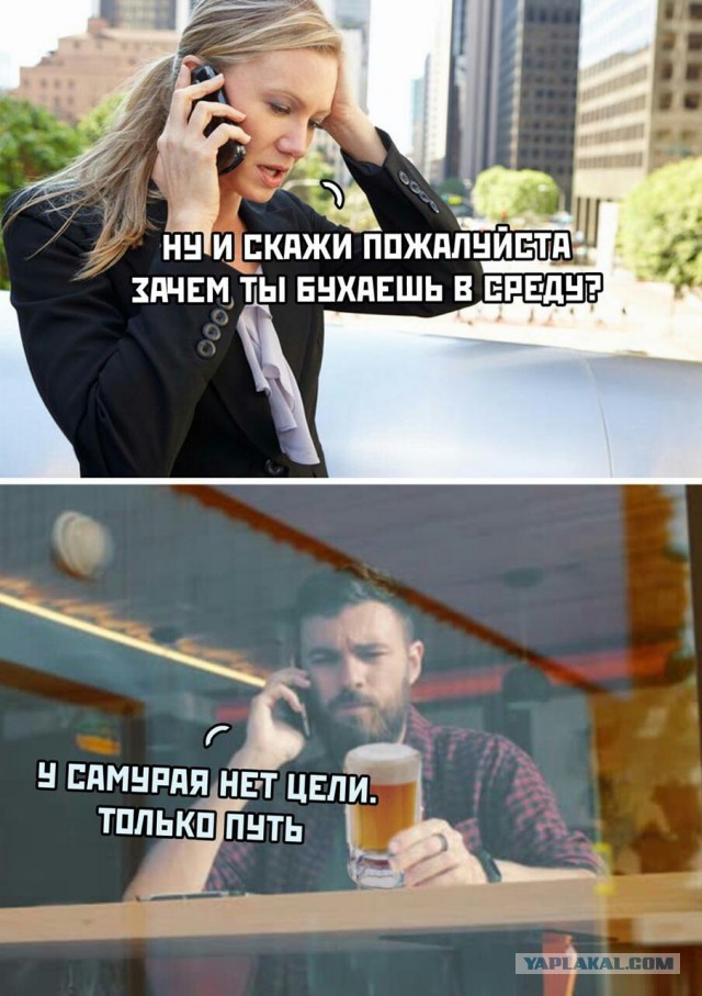 Алкопост! В картинках 15.02.20
