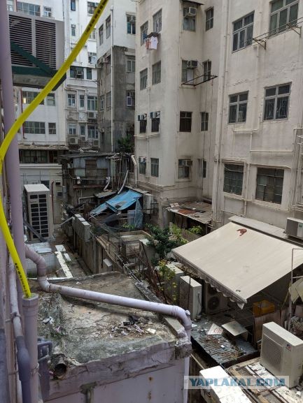 Посмотрите, какие квартиры скрываются внутри гонконгских домов-муравейников
