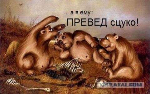 Лучше любого ресторана
