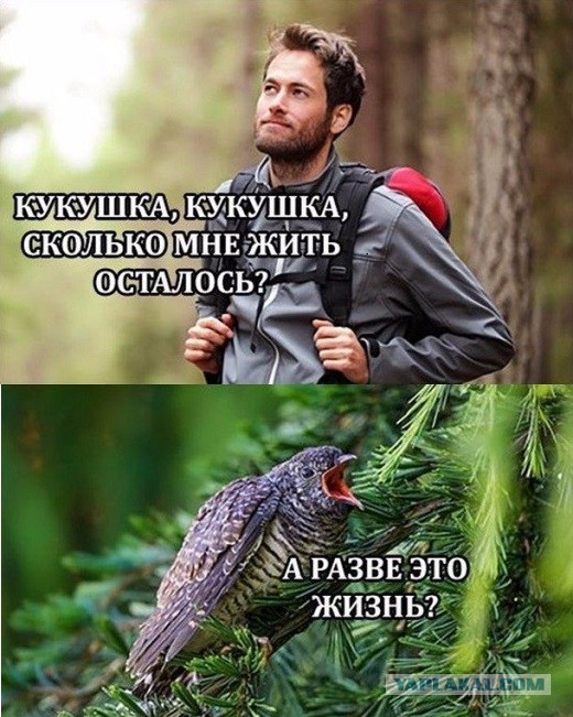 Возможно на Венере нашли жизнь