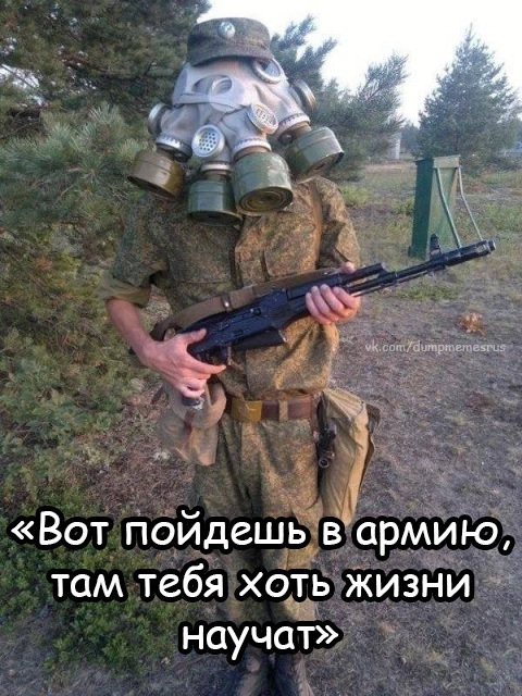 Фотки и картинки: юморные и красивые, забавные и милые 20.09.20