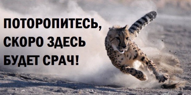 Что женщины думают про холостяков
