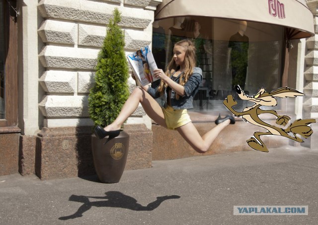 Фотожаба: Читает журнал на лету