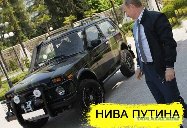 "Отрицать бесполезно". Биограф Путина подтвердил: дворец в Геленджике — подарок президенту от олигархов