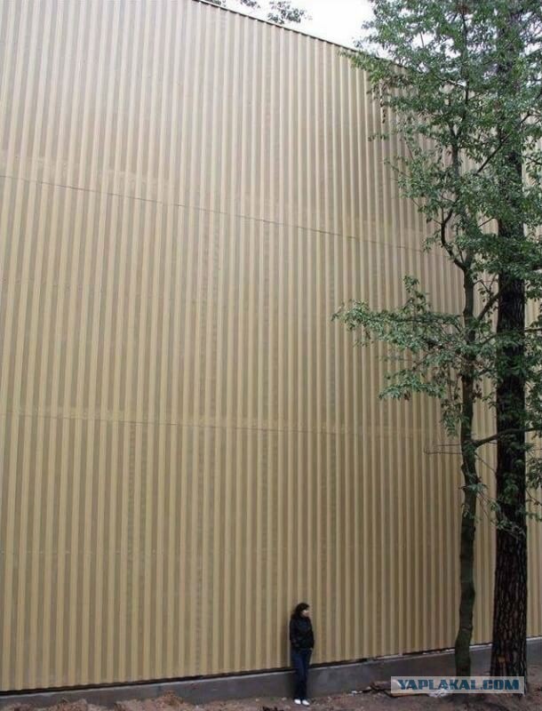 Снова "съемка из бункера"?! Где верхушки деревьев-то?!