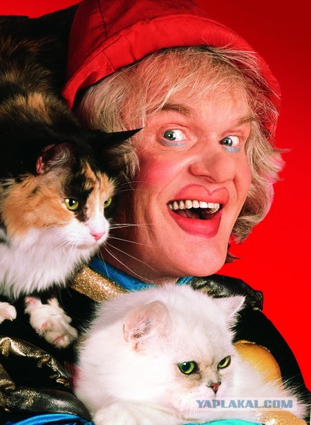 Драка двух котов за кусок колбасы