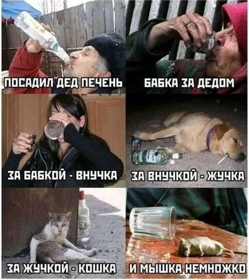 Умеет, могёт!