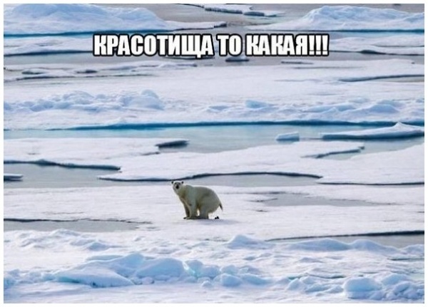 Бредзона 30.03.21