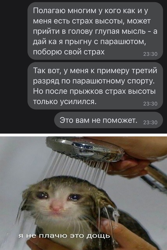 Весёлый полтишок 27.05