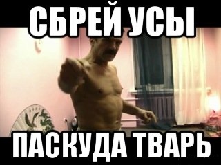 Песков назвал кощунственными альтернативные версии гибели Зиничева