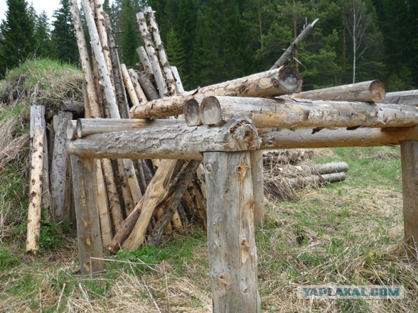 Лесное жилище