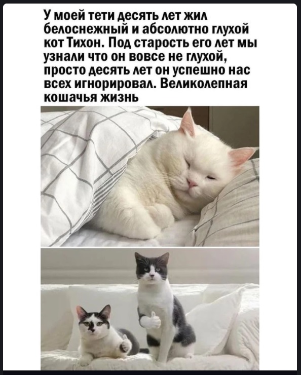 Картинки с надписями и всякие жизненные фразы