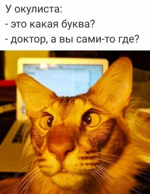 Картинки и буквы 15.07.22