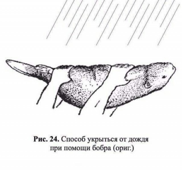 Весёлый полтишок 01.04