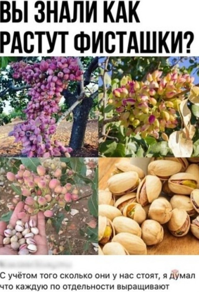 Так себе картинки 21.04.22