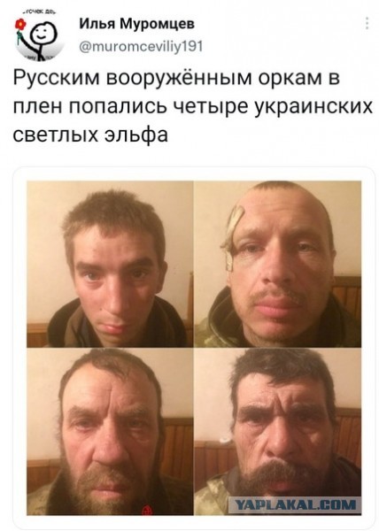 «Страна "богов" спустившихся с небес»